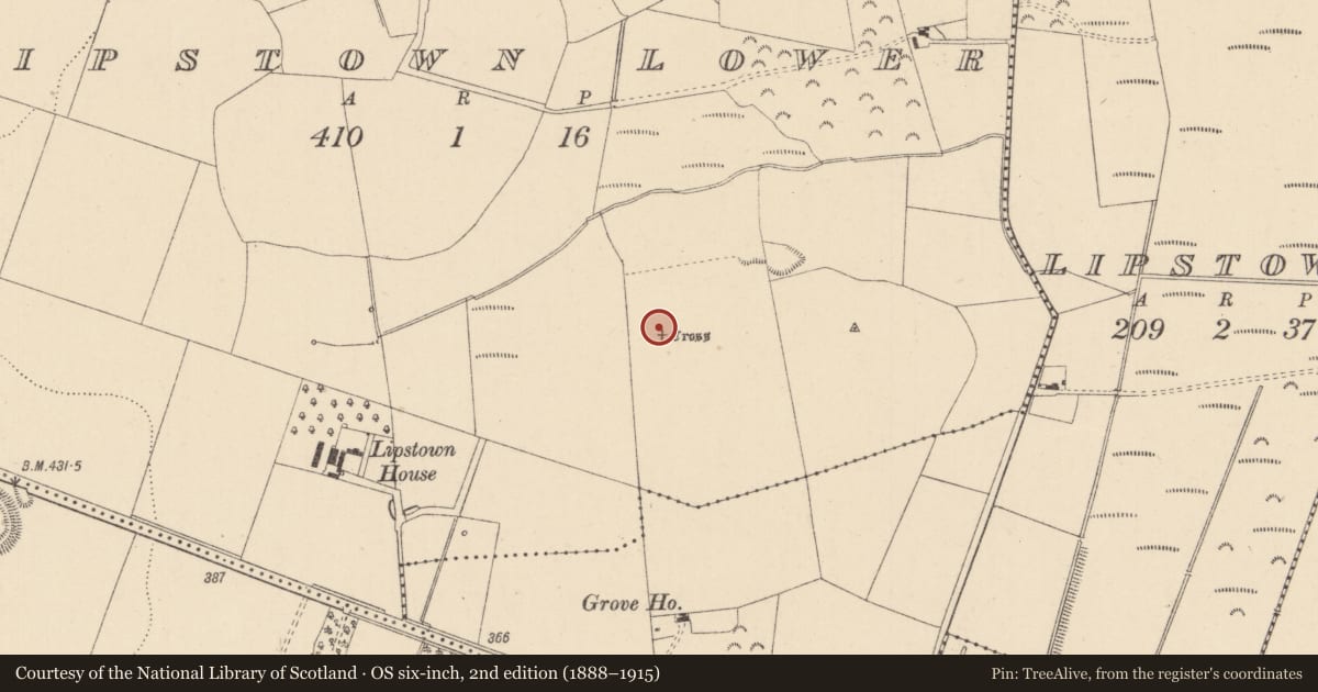 Ordnance Survey six-inch map, 2nd edition (1888–1915) covering the location of Cross, Lipstown Lower, County Kildare, with a pin at the register's coordinates