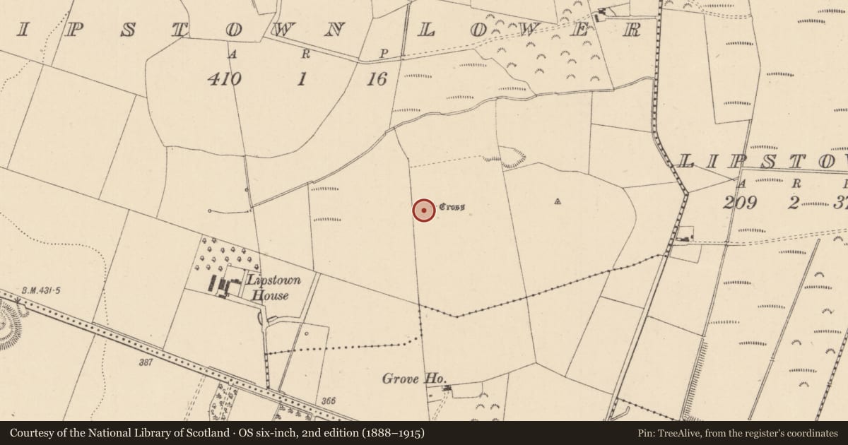 Ordnance Survey six-inch map, 2nd edition (1888–1915) covering the location of Ecclesiastical enclosure, Lipstown Lower, County Kildare, with a pin at the register's coordinates
