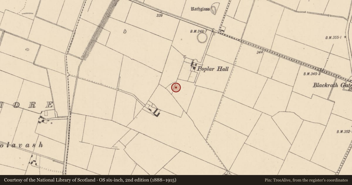 Ordnance Survey six-inch map, 2nd edition (1888–1915) covering the location of Enclosure, Inchaquire, County Kildare, with a pin at the register's coordinates