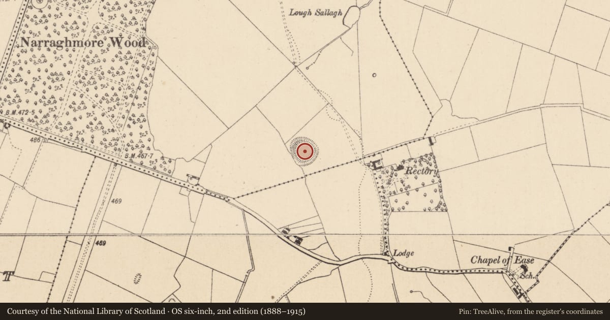 Ordnance Survey six-inch map, 2nd edition (1888–1915) covering the location of Enclosure, Narraghmore Demesne, County Kildare, with a pin at the register's coordinates