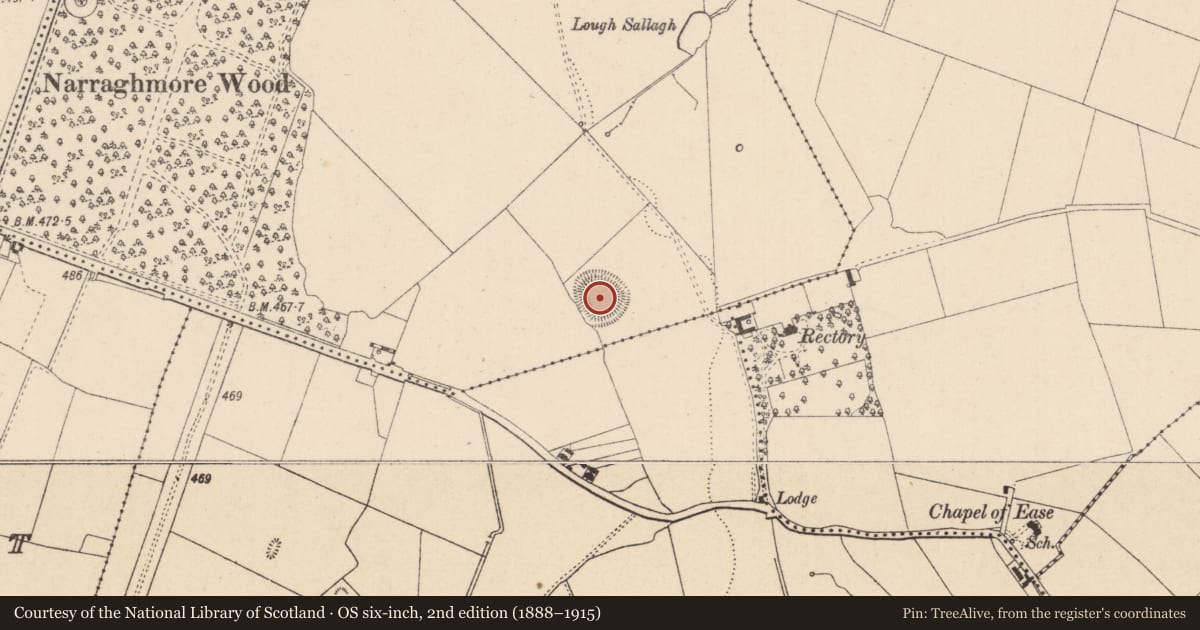 Ordnance Survey six-inch map, 2nd edition (1888–1915) covering the location of Field system, Narraghmore Demesne, County Kildare, with a pin at the register's coordinates