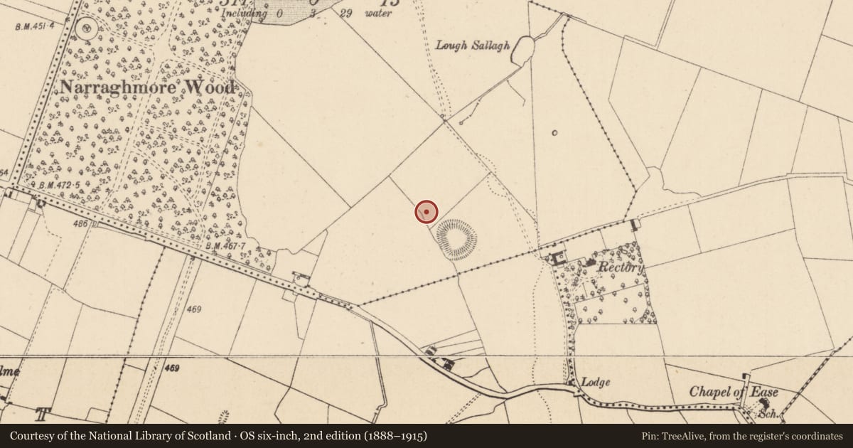 Ordnance Survey six-inch map, 2nd edition (1888–1915) covering the location of Enclosure, Narraghmore Demesne, County Kildare, with a pin at the register's coordinates