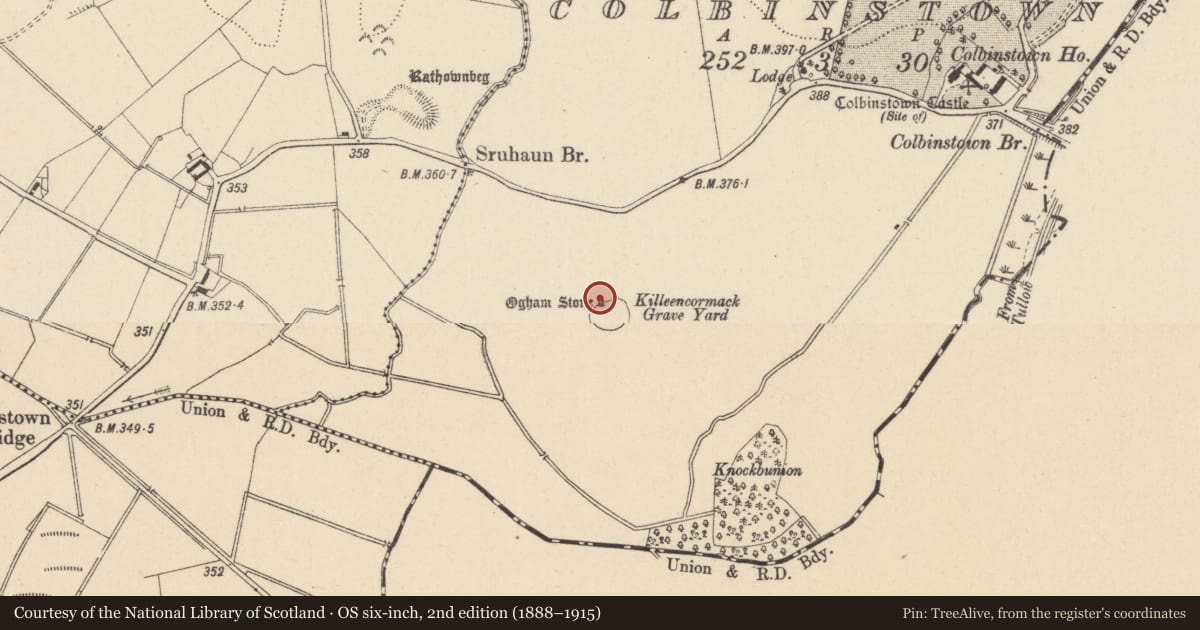 Ordnance Survey six-inch map, 2nd edition (1888–1915) covering the location of Ogham stone, Colbinstown, County Kildare, with a pin at the register's coordinates
