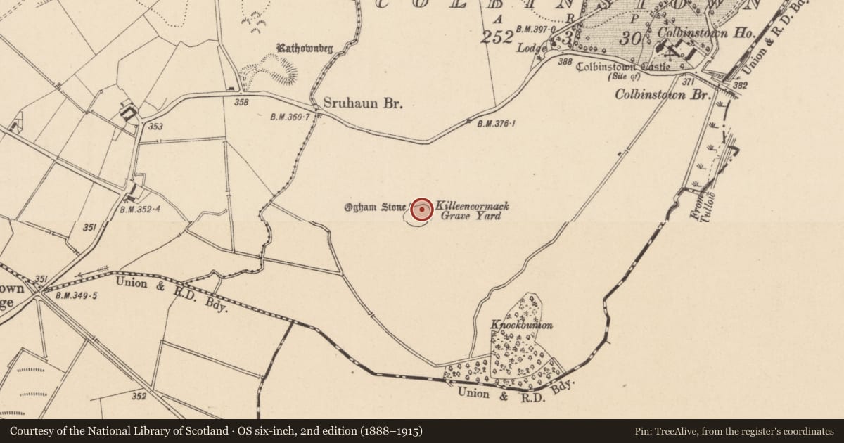 Ordnance Survey six-inch map, 2nd edition (1888–1915) covering the location of Ogham stone, Colbinstown, County Kildare, with a pin at the register's coordinates