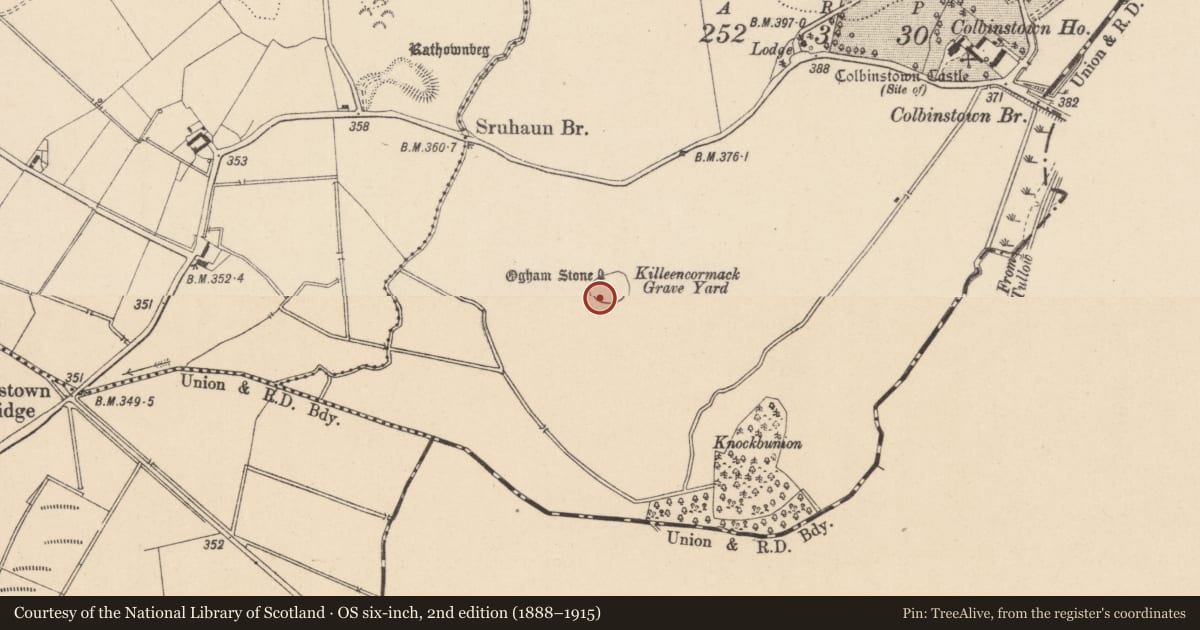 Ordnance Survey six-inch map, 2nd edition (1888–1915) covering the location of Pillar stone, Colbinstown, County Kildare, with a pin at the register's coordinates