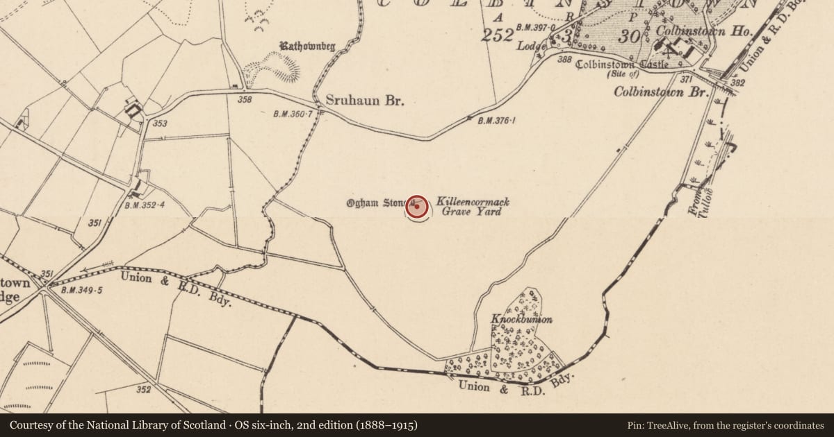 Ordnance Survey six-inch map, 2nd edition (1888–1915) covering the location of Pillar stone, Colbinstown, County Kildare, with a pin at the register's coordinates