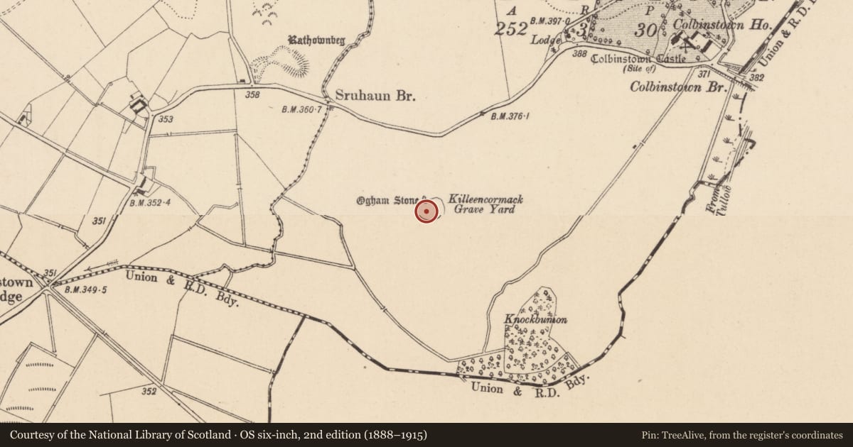 Ordnance Survey six-inch map, 2nd edition (1888–1915) covering the location of Pillar stone, Colbinstown, County Kildare, with a pin at the register's coordinates