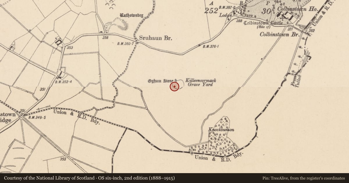 Ordnance Survey six-inch map, 2nd edition (1888–1915) covering the location of Pillar stone, Colbinstown, County Kildare, with a pin at the register's coordinates