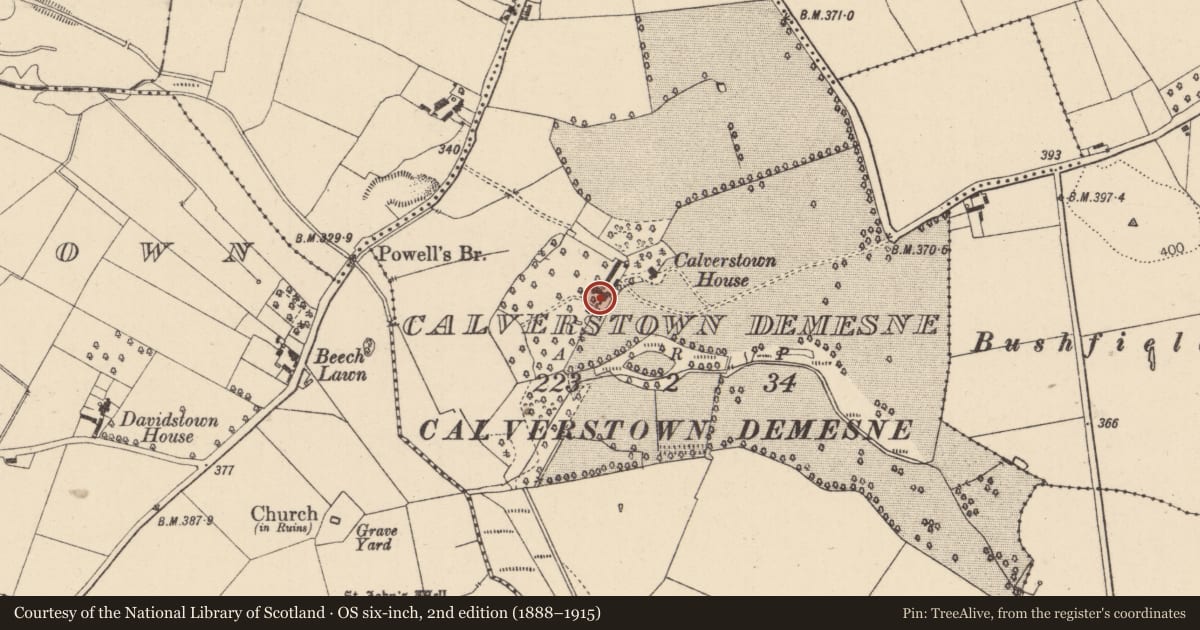 Ordnance Survey six-inch map, 2nd edition (1888–1915) covering the location of House - 17th century, Calverstown, County Kildare, with a pin at the register's coordinates