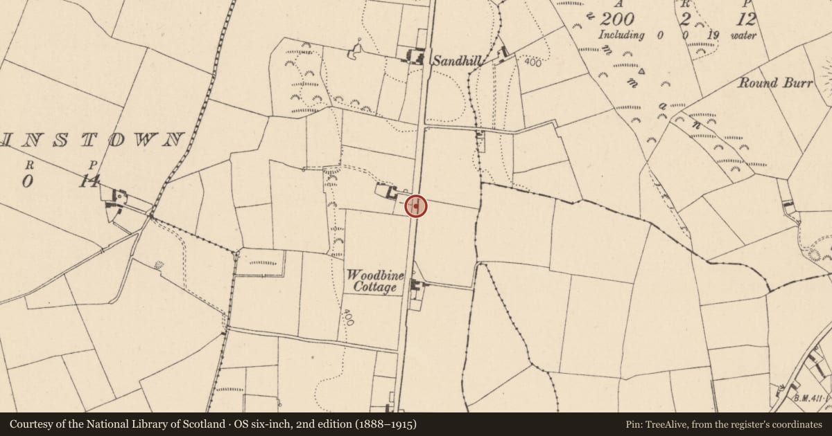 Ordnance Survey six-inch map, 2nd edition (1888–1915) covering the location of Rock art, Kilgowan, County Kildare, with a pin at the register's coordinates