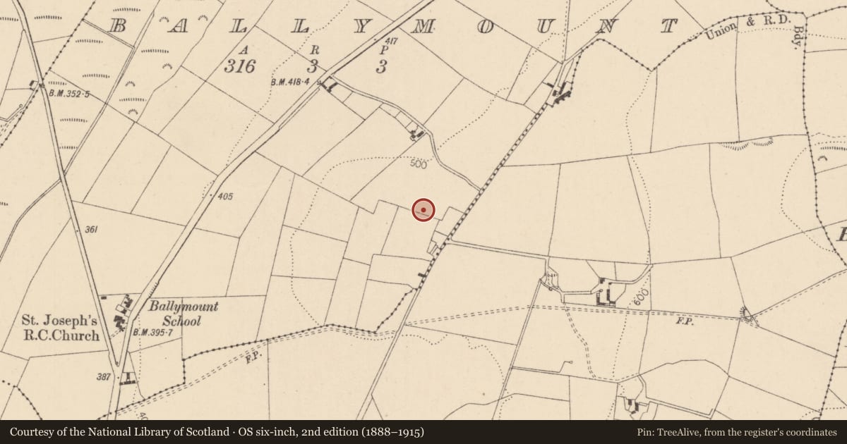 Ordnance Survey six-inch map, 2nd edition (1888–1915) covering the location of Ringfort - unclassified, Ballymount, County Kildare, with a pin at the register's coordinates