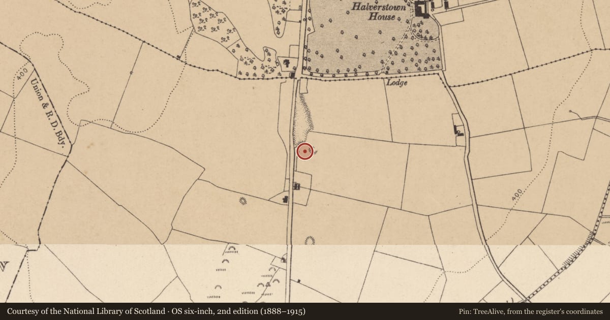 Ordnance Survey six-inch map, 2nd edition (1888–1915) covering the location of Burial, Kilgowan, County Kildare, with a pin at the register's coordinates