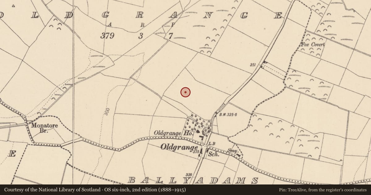 Ordnance Survey six-inch map, 2nd edition (1888–1915) covering the location of Enclosure, Oldgrange, County Kildare, with a pin at the register's coordinates