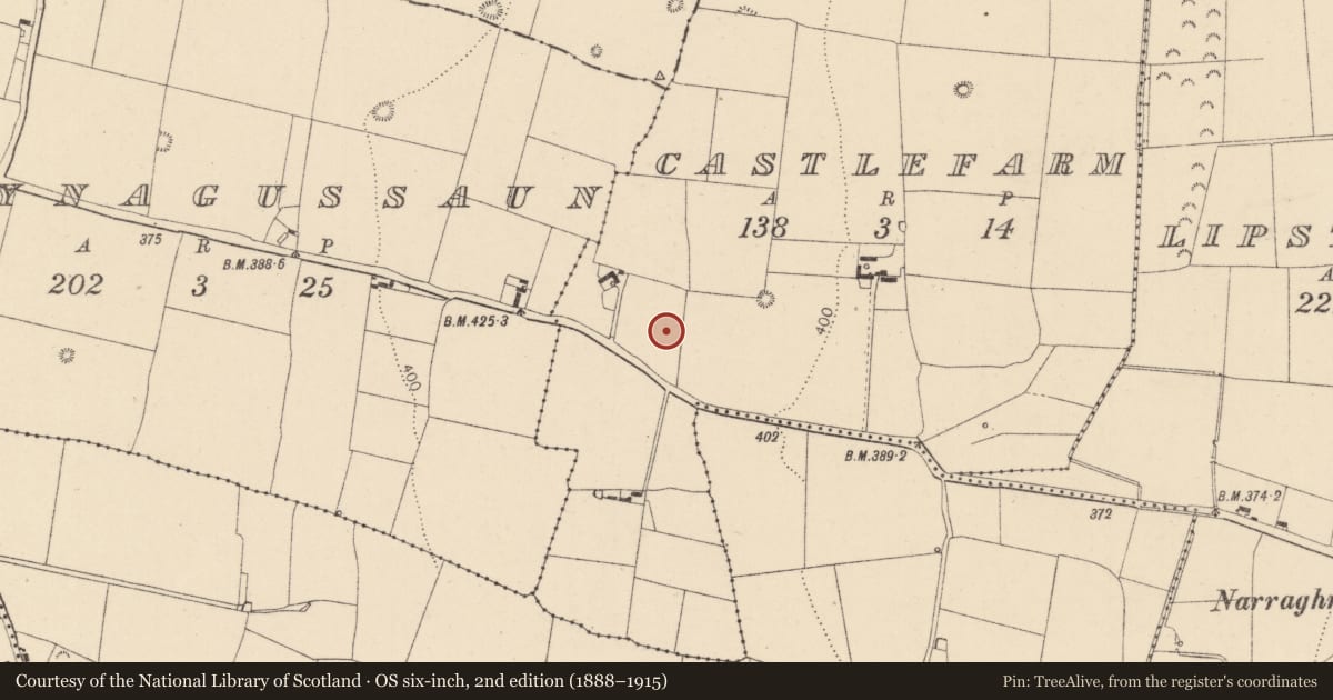 Ordnance Survey six-inch map, 2nd edition (1888–1915) covering the location of Enclosure, Castlefarm, County Kildare, with a pin at the register's coordinates