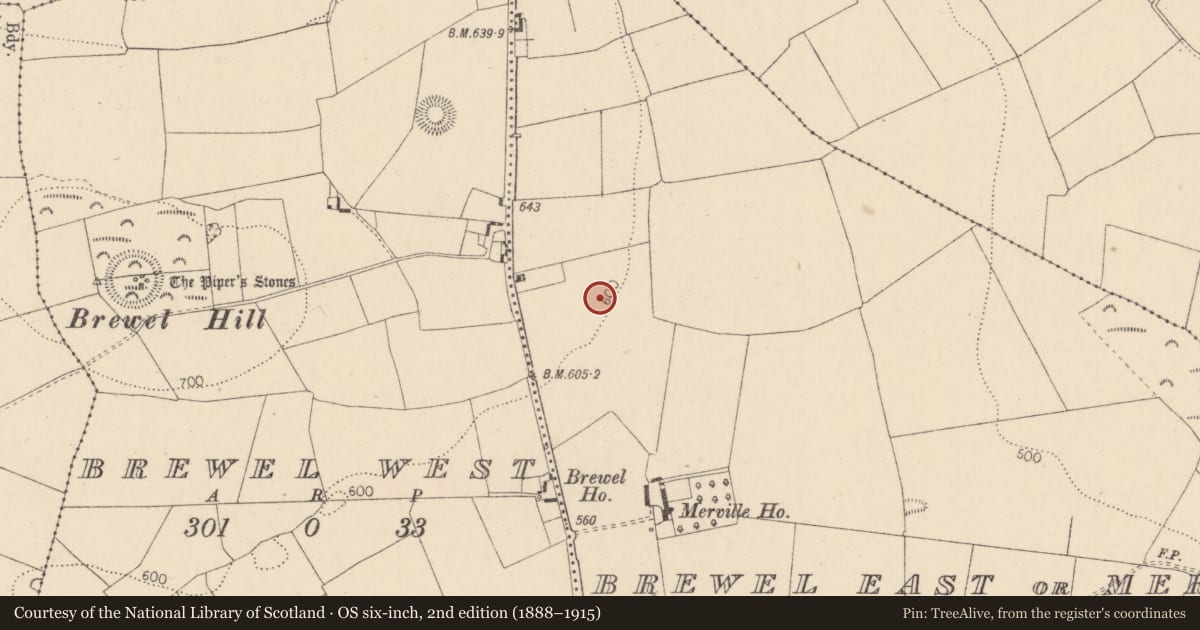Ordnance Survey six-inch map, 2nd edition (1888–1915) covering the location of Enclosure, Brewel East Or Merville, County Kildare, with a pin at the register's coordinates