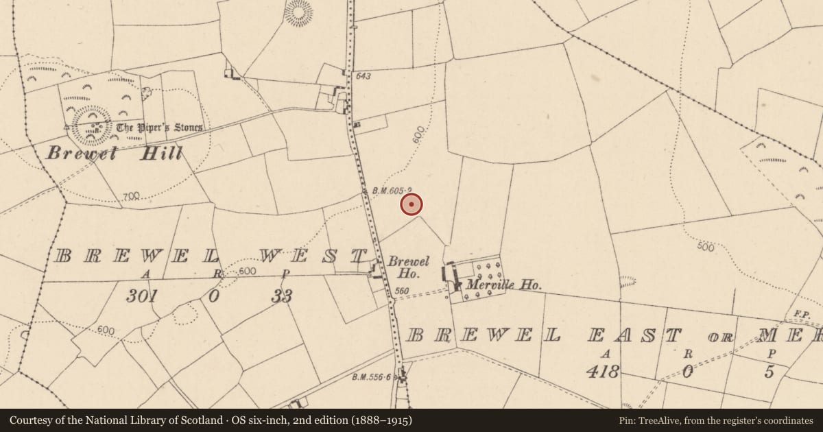 Ordnance Survey six-inch map, 2nd edition (1888–1915) covering the location of Cursus, Brewel East Or Merville, County Kildare, with a pin at the register's coordinates