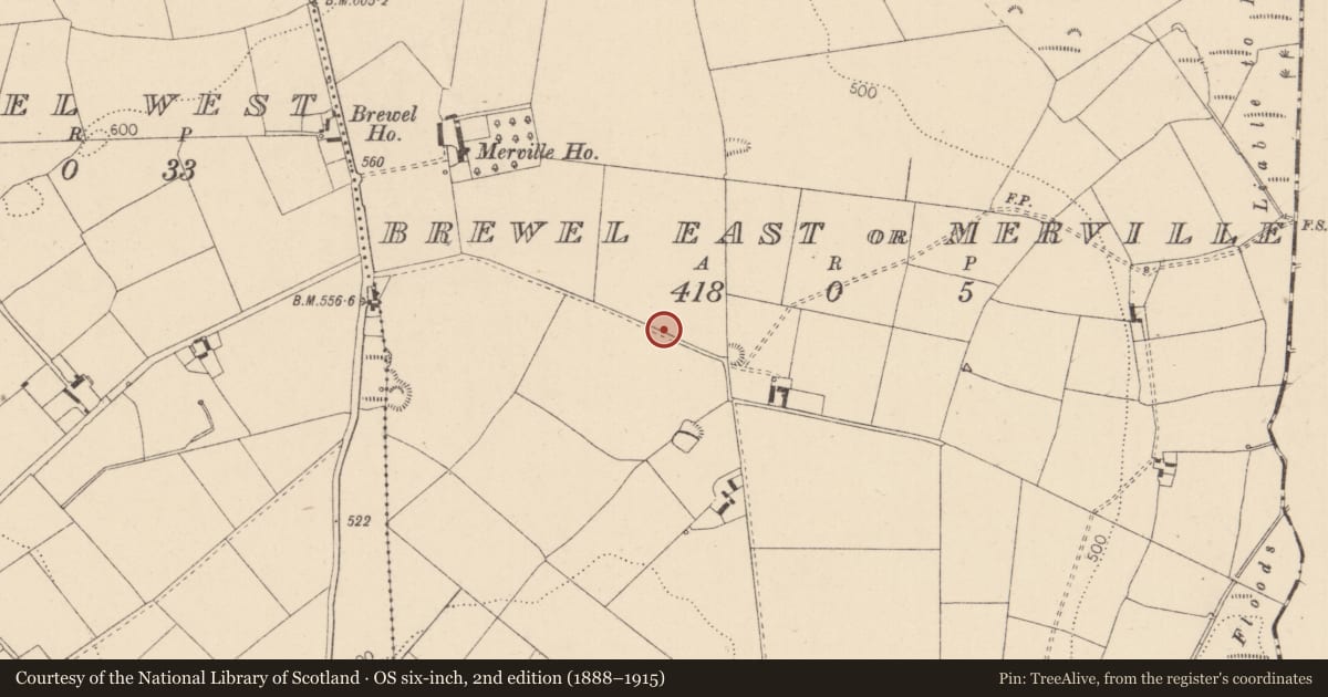 Ordnance Survey six-inch map, 2nd edition (1888–1915) covering the location of Enclosure, Brewel East Or Merville, County Kildare, with a pin at the register's coordinates