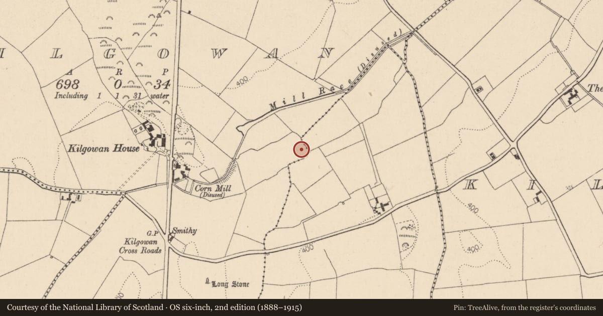 Ordnance Survey six-inch map, 2nd edition (1888–1915) covering the location of Fulacht fia, Kilgowan, County Kildare, with a pin at the register's coordinates