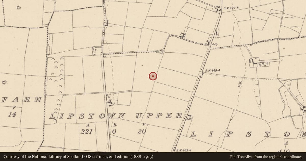 Ordnance Survey six-inch map, 2nd edition (1888–1915) covering the location of Enclosure, Lipstown Upper, County Kildare, with a pin at the register's coordinates
