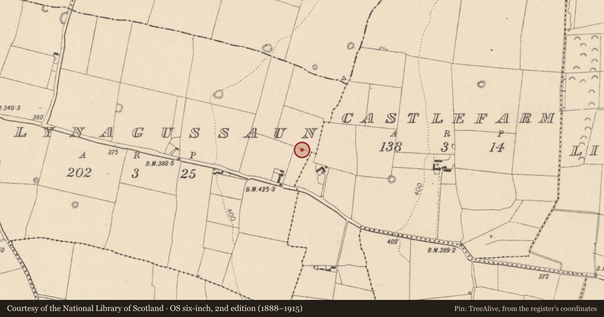 Ordnance Survey six-inch map, 2nd edition (1888–1915) covering the location of Enclosure, Ballynagussaun, County Kildare, with a pin at the register's coordinates