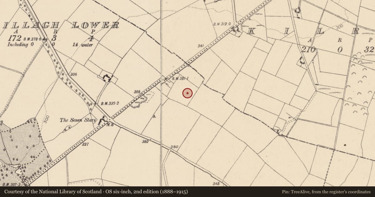 Ordnance Survey six-inch map, 2nd edition (1888–1915) covering the location of Moated site, Rathsillagh Upper, County Kildare, with a pin at the register's coordinates