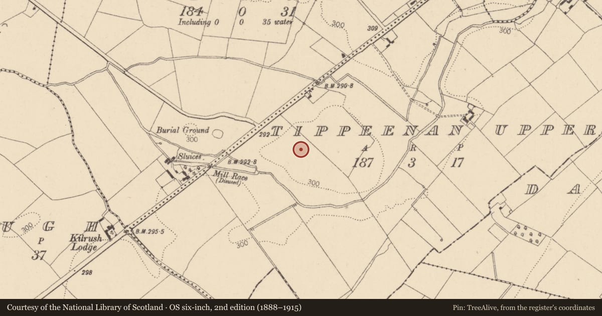 Ordnance Survey six-inch map, 2nd edition (1888–1915) covering the location of Field system, Tippeenan Upper, County Kildare, with a pin at the register's coordinates
