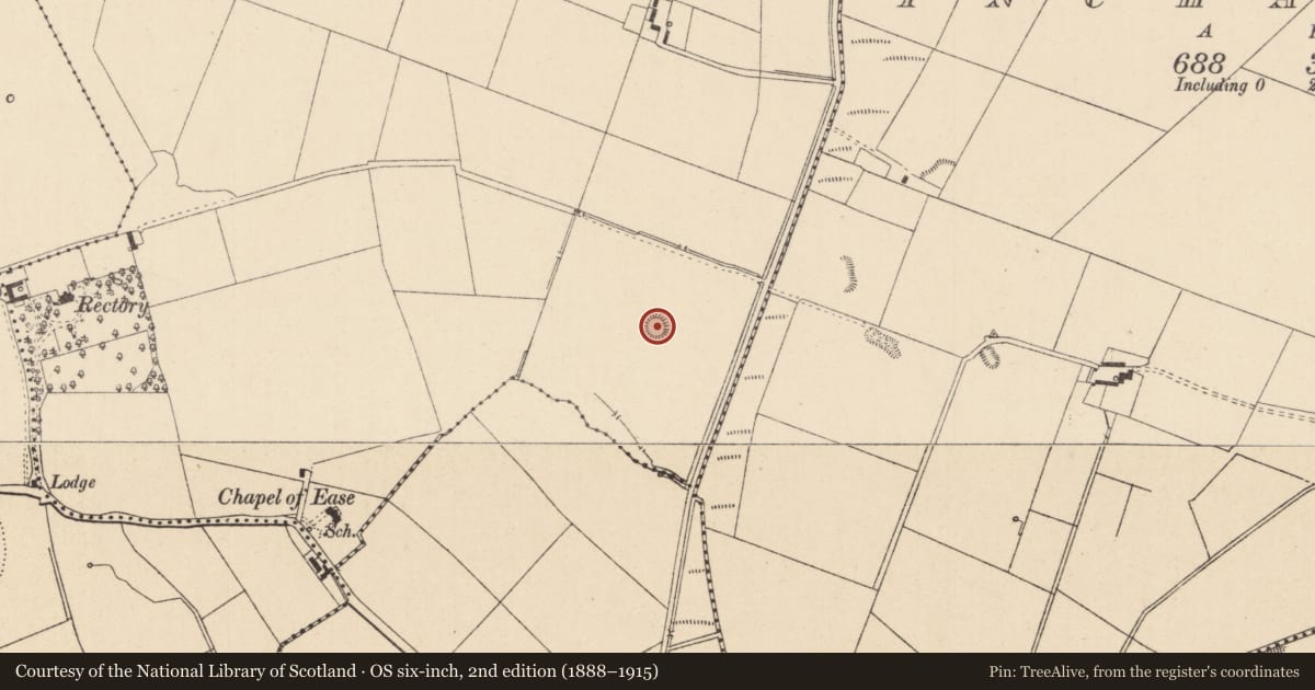Ordnance Survey six-inch map, 2nd edition (1888–1915) covering the location of Barrow - ring-barrow, Narraghmore, County Kildare, with a pin at the register's coordinates