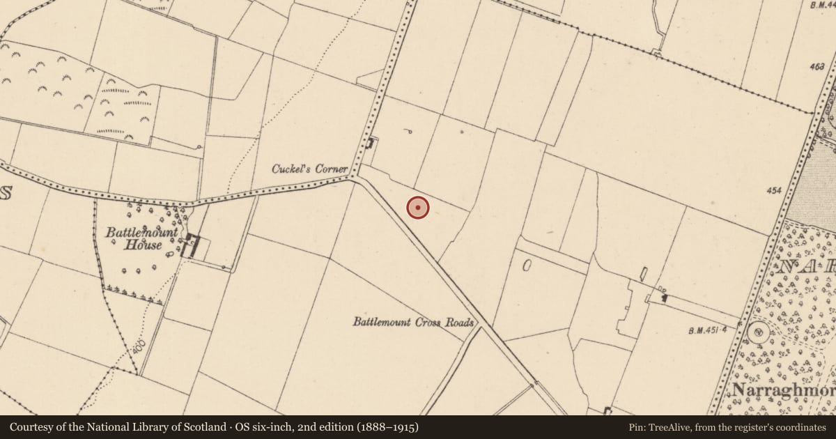 Ordnance Survey six-inch map, 2nd edition (1888–1915) covering the location of Mound, Battlemount, County Kildare, with a pin at the register's coordinates