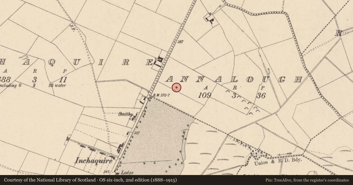 Ordnance Survey six-inch map, 2nd edition (1888–1915) covering the location of Enclosure, Annalough, County Kildare, with a pin at the register's coordinates