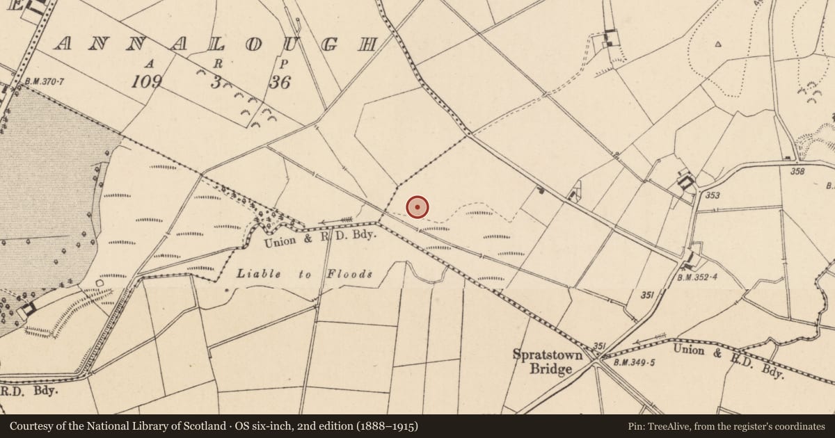 Ordnance Survey six-inch map, 2nd edition (1888–1915) covering the location of Enclosure, Rahoonbeak, County Kildare, with a pin at the register's coordinates