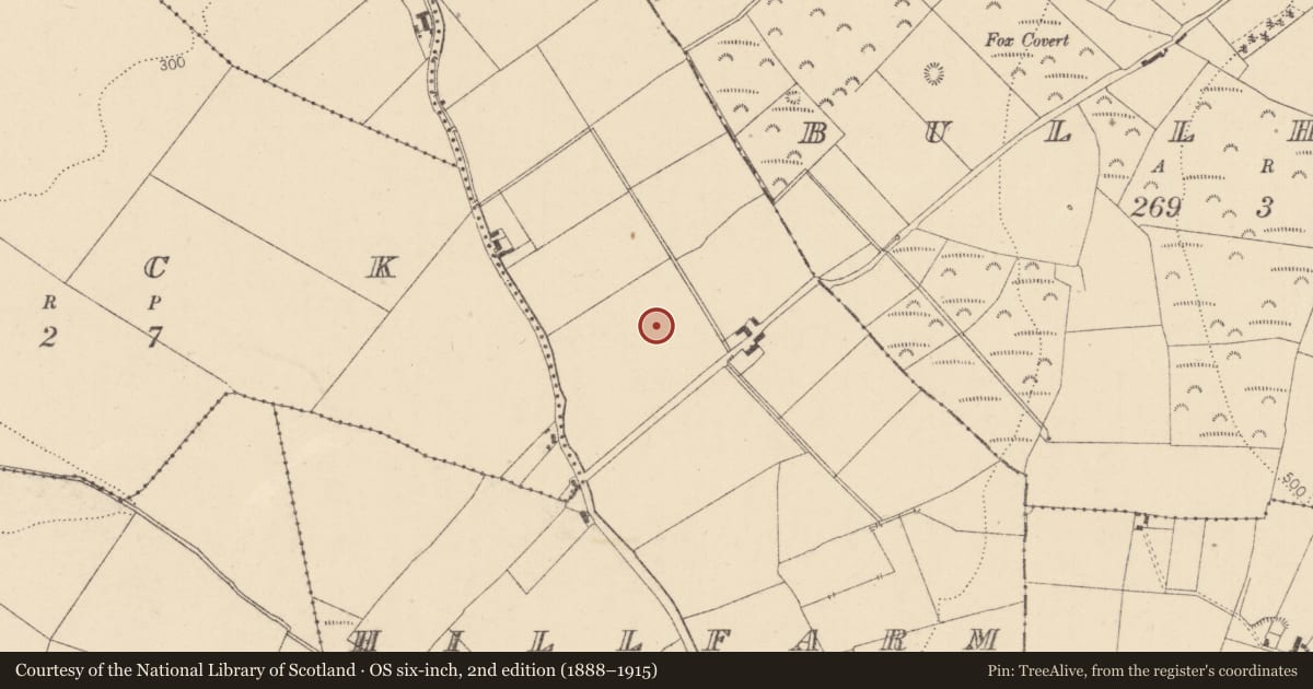 Ordnance Survey six-inch map, 2nd edition (1888–1915) covering the location of Barrow - ditch barrow, Hillfarm, County Kildare, with a pin at the register's coordinates