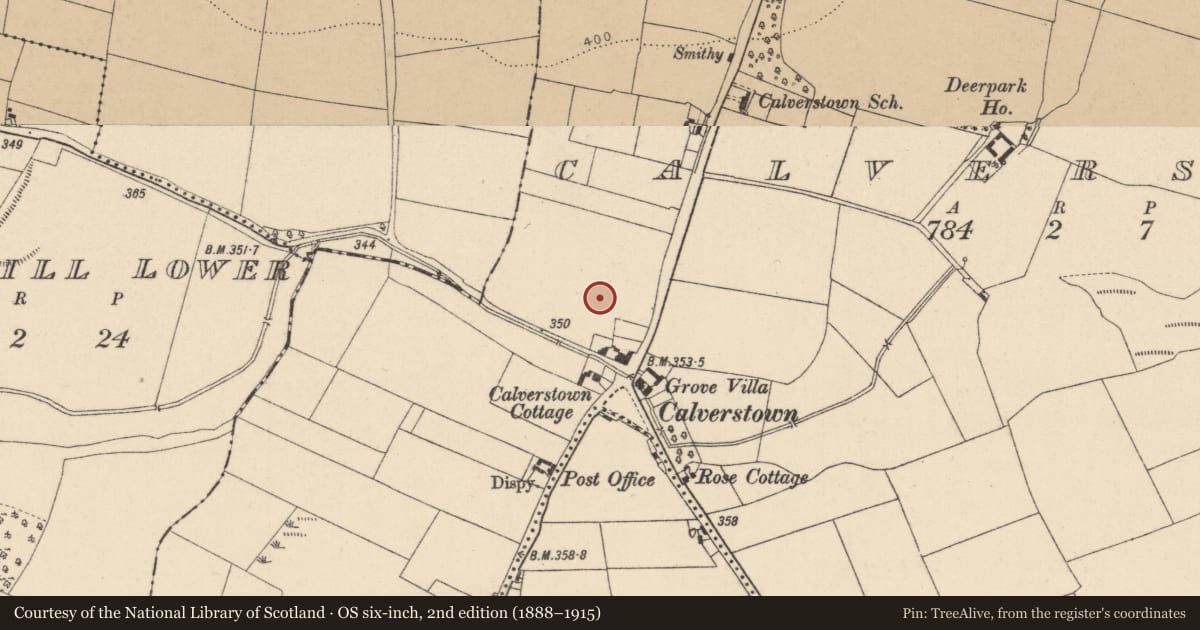 Ordnance Survey six-inch map, 2nd edition (1888–1915) covering the location of Barrow - unclassified, Calverstown, County Kildare, with a pin at the register's coordinates