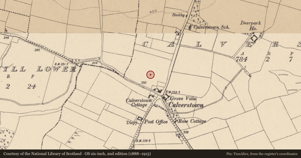 Ordnance Survey six-inch map, 2nd edition (1888–1915) covering the location of Barrow - unclassified, Calverstown, County Kildare, with a pin at the register's coordinates