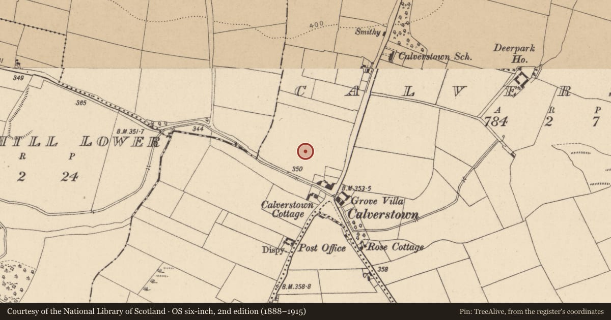 Ordnance Survey six-inch map, 2nd edition (1888–1915) covering the location of Barrow - unclassified, Calverstown, County Kildare, with a pin at the register's coordinates