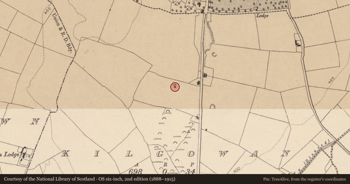 Ordnance Survey six-inch map, 2nd edition (1888–1915) covering the location of Enclosure, Kilgowan, County Kildare, with a pin at the register's coordinates