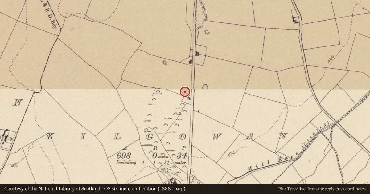 Ordnance Survey six-inch map, 2nd edition (1888–1915) covering the location of Enclosure, Kilgowan, County Kildare, with a pin at the register's coordinates