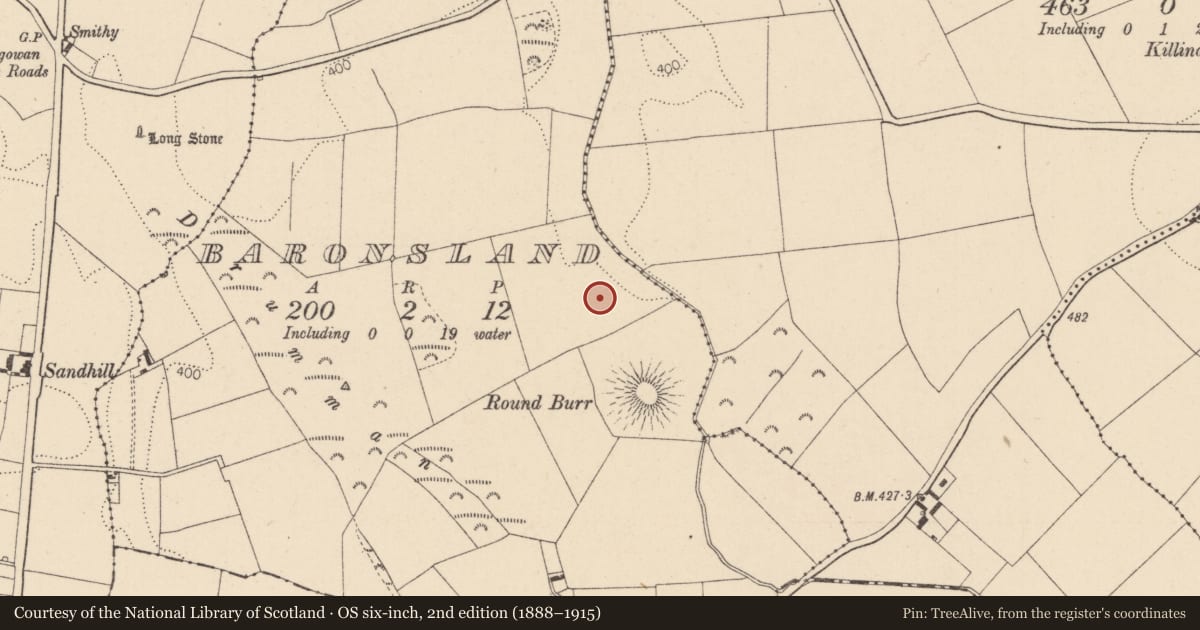 Ordnance Survey six-inch map, 2nd edition (1888–1915) covering the location of Ring-ditch, Baronsland, County Kildare, with a pin at the register's coordinates