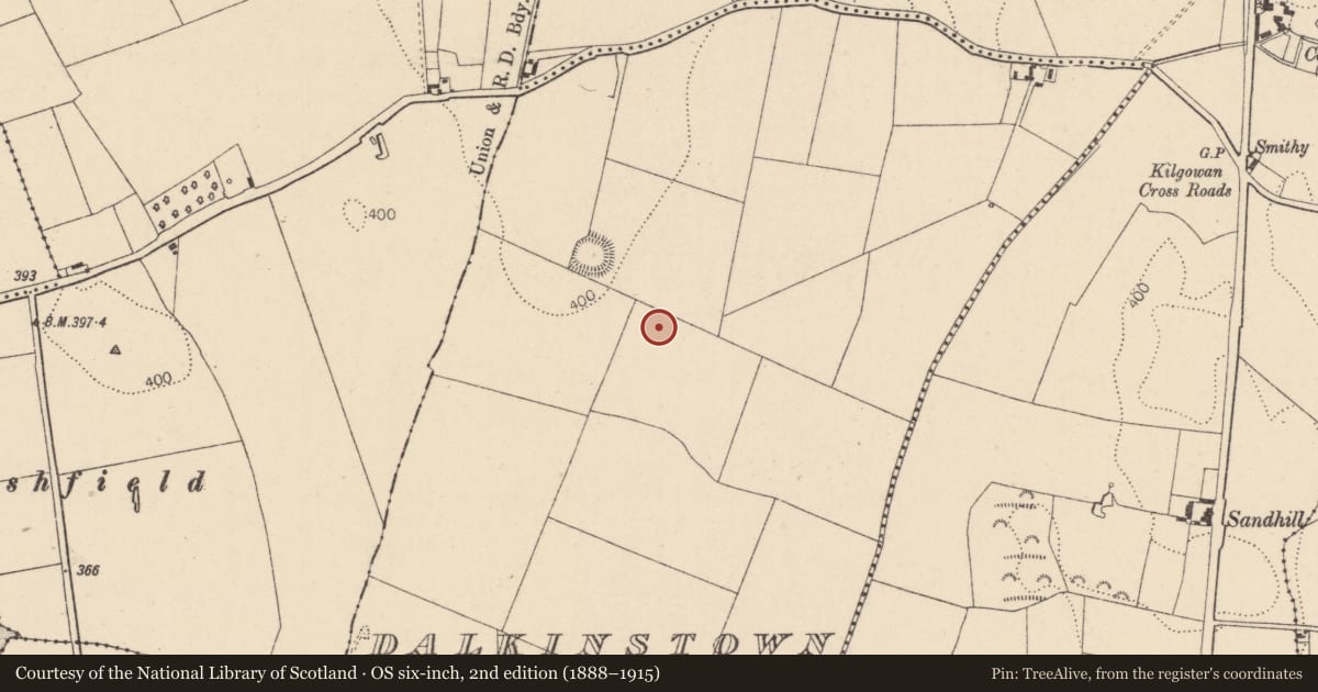 Ordnance Survey six-inch map, 2nd edition (1888–1915) covering the location of Enclosure, Dalkinstown, County Kildare, with a pin at the register's coordinates