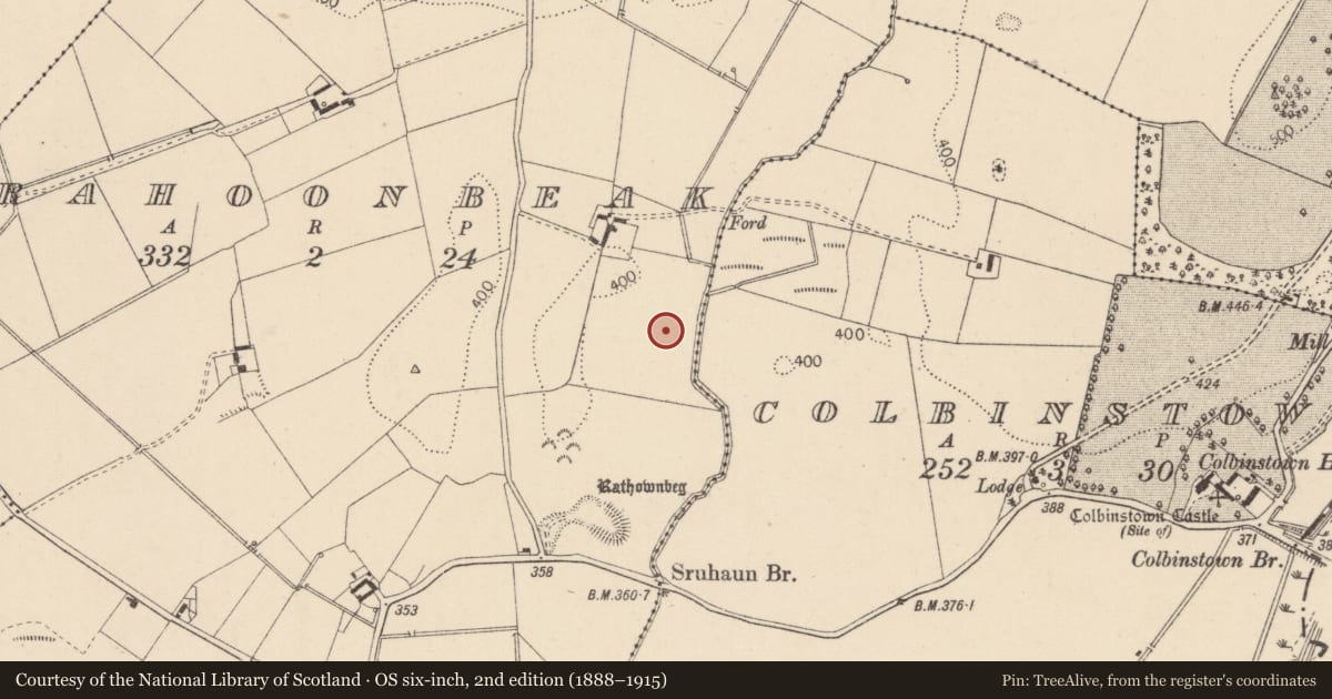Ordnance Survey six-inch map, 2nd edition (1888–1915) covering the location of Enclosure, Rahoonbeak, County Kildare, with a pin at the register's coordinates