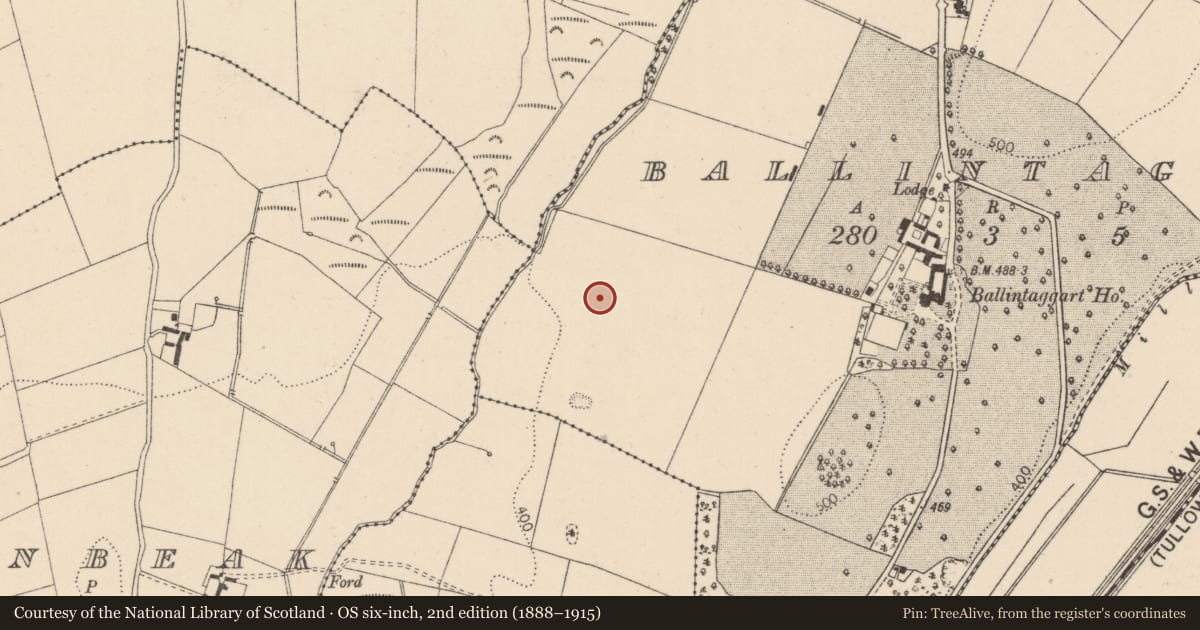 Ordnance Survey six-inch map, 2nd edition (1888–1915) covering the location of Enclosure, Ballintaggart, County Kildare, with a pin at the register's coordinates