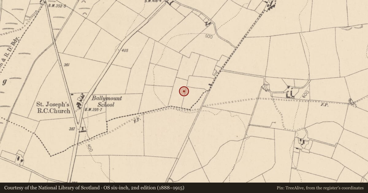 Ordnance Survey six-inch map, 2nd edition (1888–1915) covering the location of Enclosure, Ballymount, County Kildare, with a pin at the register's coordinates