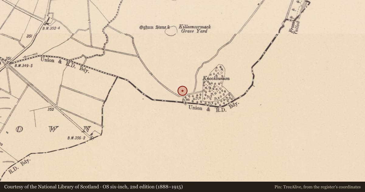 Ordnance Survey six-inch map, 2nd edition (1888–1915) covering the location of Enclosure, Colbinstown, County Kildare, with a pin at the register's coordinates