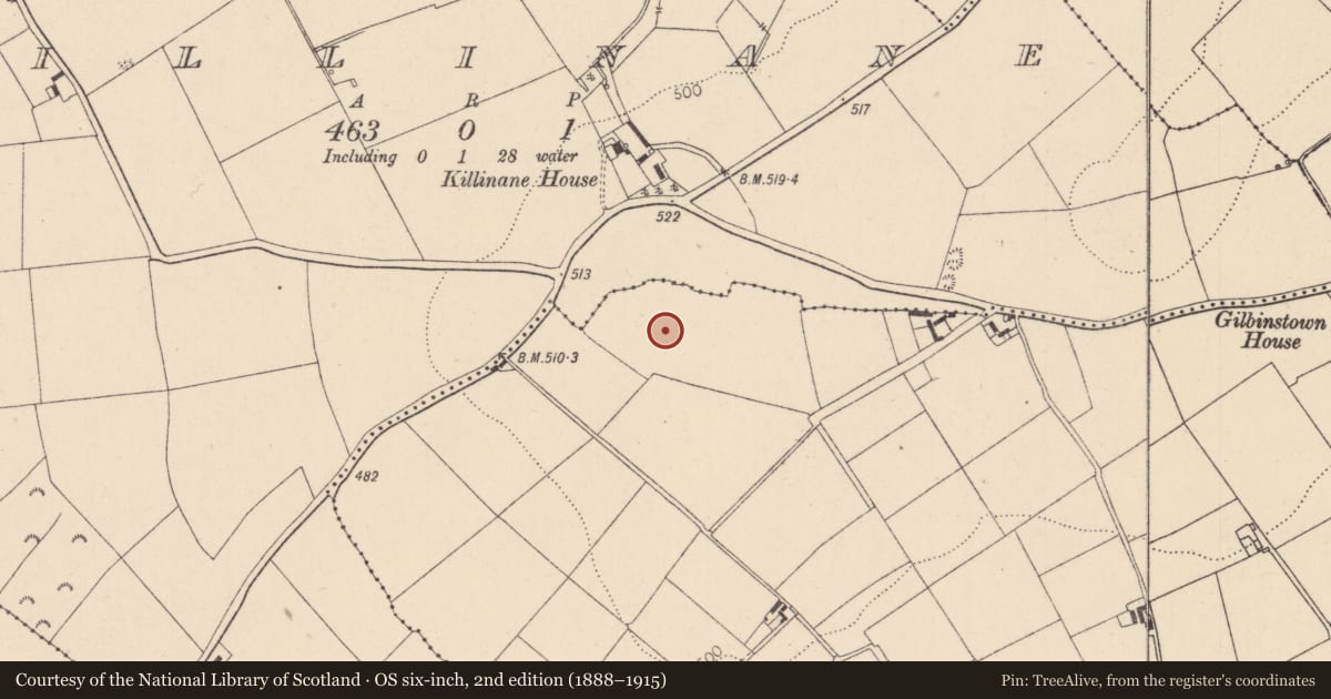 Ordnance Survey six-inch map, 2nd edition (1888–1915) covering the location of Ring-ditch, Gilbinstown, County Kildare, with a pin at the register's coordinates