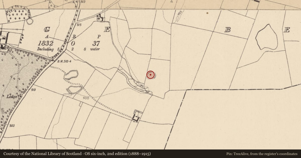 Ordnance Survey six-inch map, 2nd edition (1888–1915) covering the location of Ringfort - rath, Grangebeg, County Kildare, with a pin at the register's coordinates