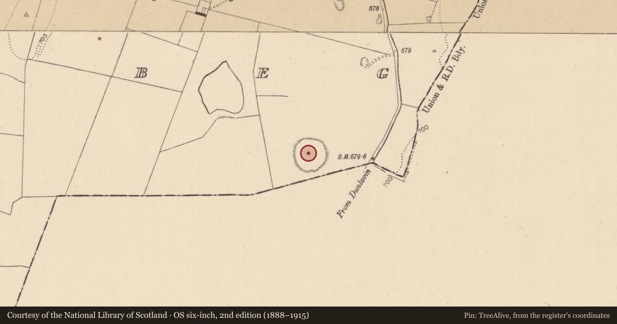 Ordnance Survey six-inch map, 2nd edition (1888–1915) covering the location of Enclosure, Grangebeg, County Kildare, with a pin at the register's coordinates