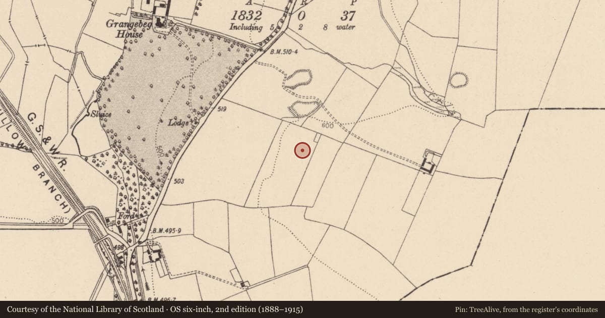 Ordnance Survey six-inch map, 2nd edition (1888–1915) covering the location of Ringfort - unclassified, Grangebeg, County Kildare, with a pin at the register's coordinates