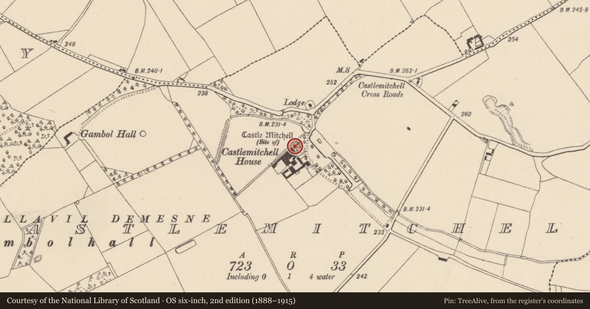 Ordnance Survey six-inch map, 2nd edition (1888–1915) covering the location of Castle - unclassified, Castlemitchell North, County Kildare, with a pin at the register's coordinates