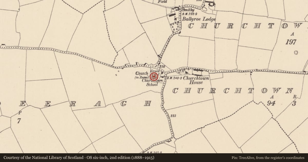 Ordnance Survey six-inch map, 2nd edition (1888–1915) covering the location of Font, Raheenadeeragh, County Kildare, with a pin at the register's coordinates