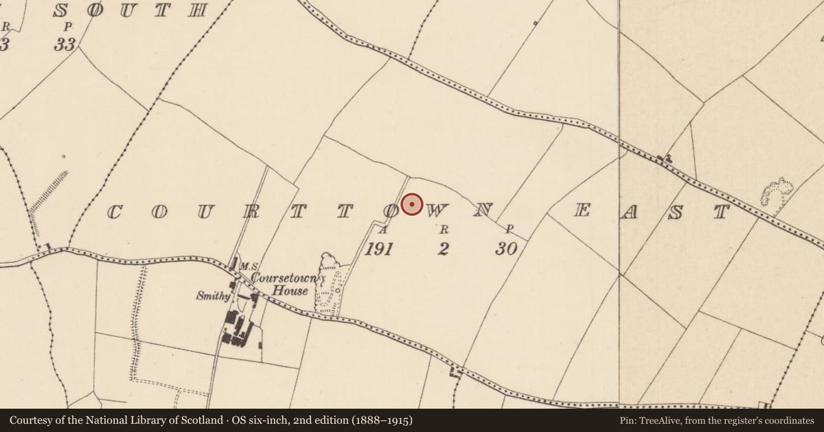 Ordnance Survey six-inch map, 2nd edition (1888–1915) covering the location of Enclosure, Courttown East, County Kildare, with a pin at the register's coordinates
