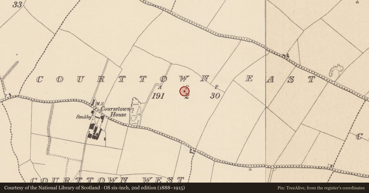 Ordnance Survey six-inch map, 2nd edition (1888–1915) covering the location of Enclosure, Courttown East, County Kildare, with a pin at the register's coordinates